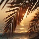 Best Place For Seeing Nature