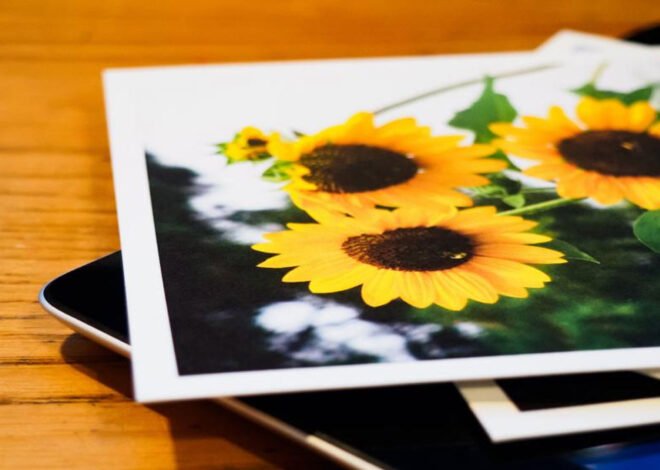 All Should Know About Network