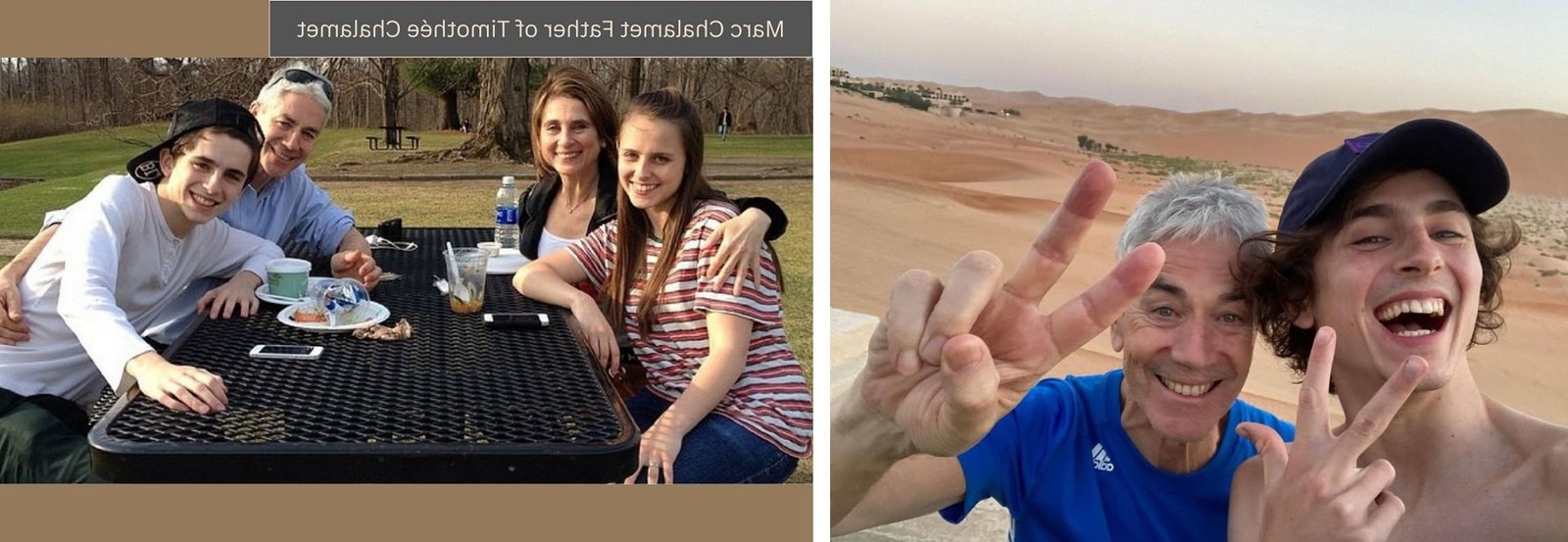 timothee chalamet father