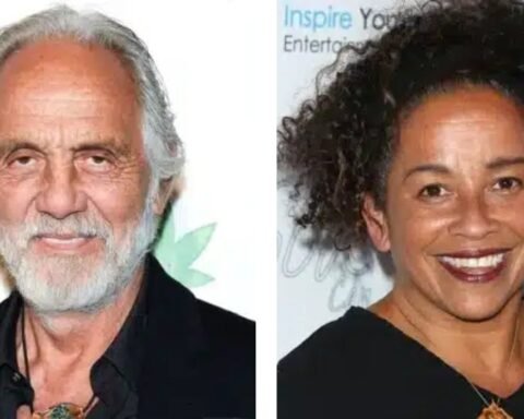 tommy chong net worth