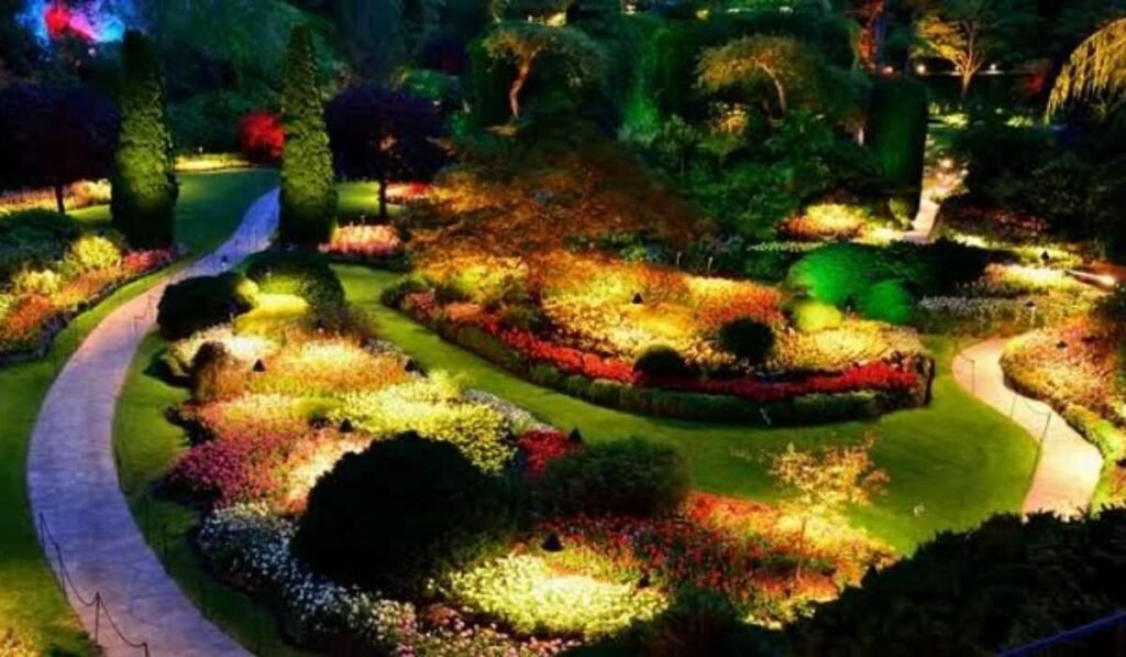 Garden and Landscape Lighting