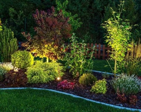 Garden and Landscape Lighting