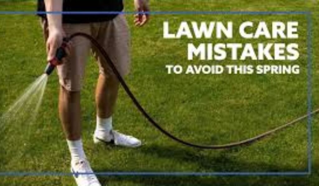 Lawn Care Mistakes