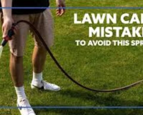 Lawn Care Mistakes