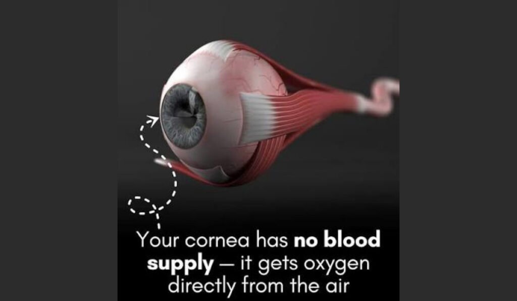 Science Behind Nimedes