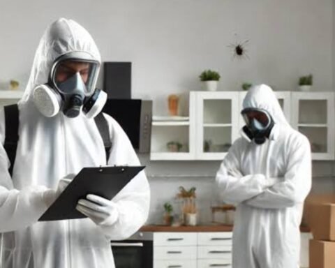 Top Pest Prevention