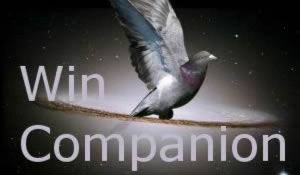 Wincompanion
