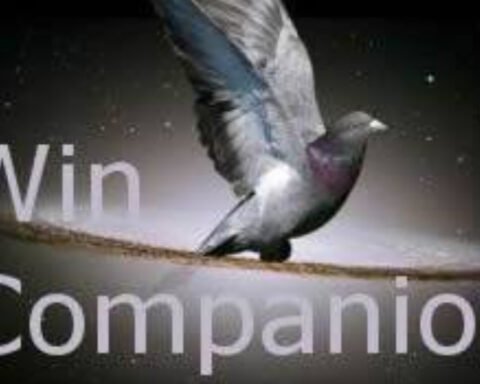 Wincompanion
