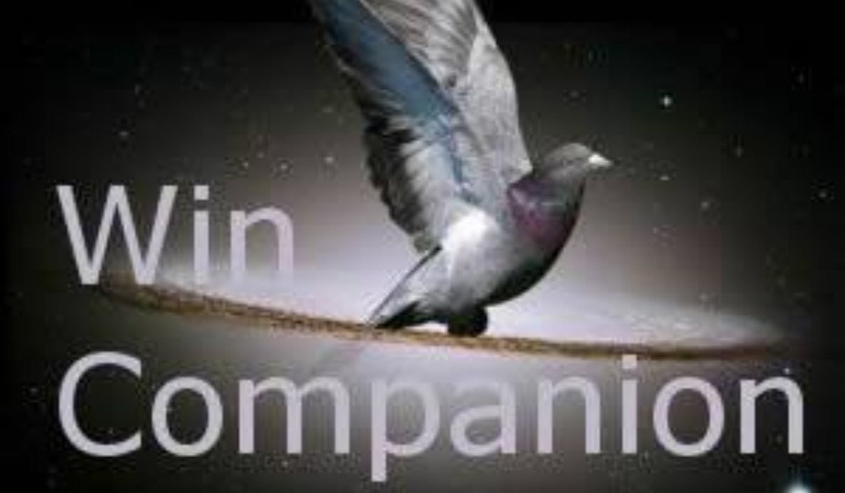 Wincompanion