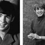 Davy Jones Monkees