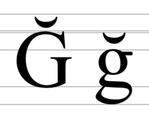 ğş