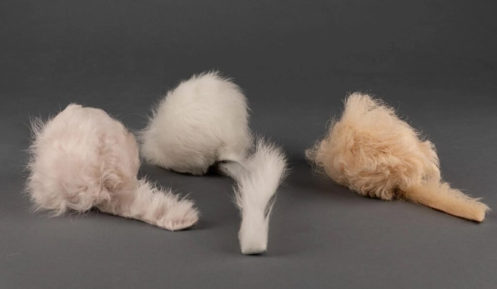 Heardfurball852