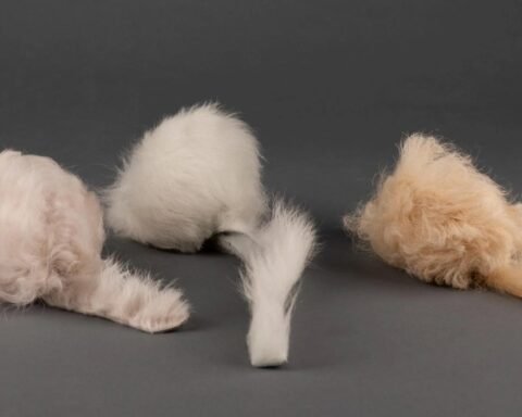 Heardfurball852
