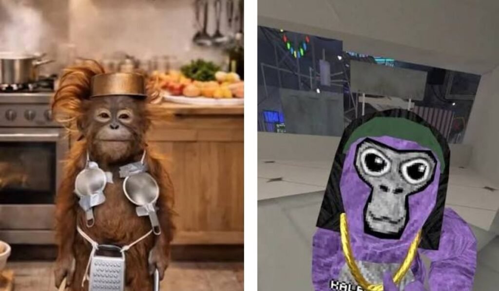 monkeygg2.netlify