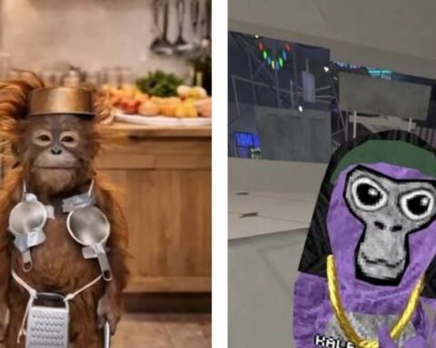 monkeygg2.netlify