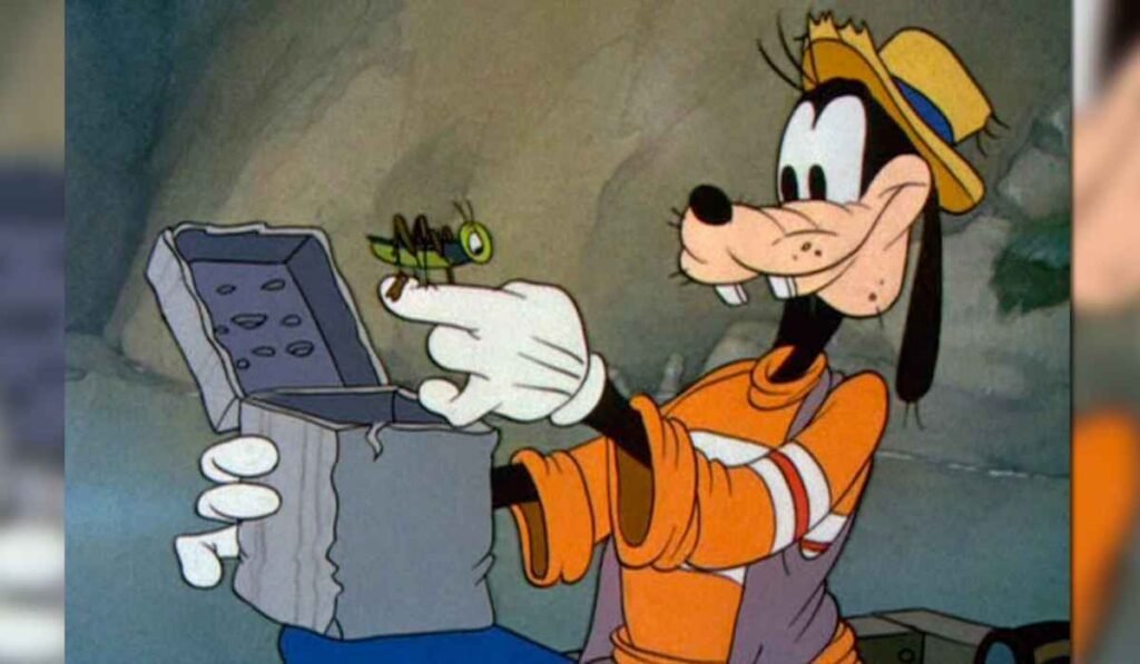 Goofy