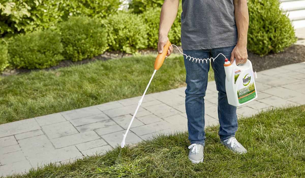 best lawn weed killer